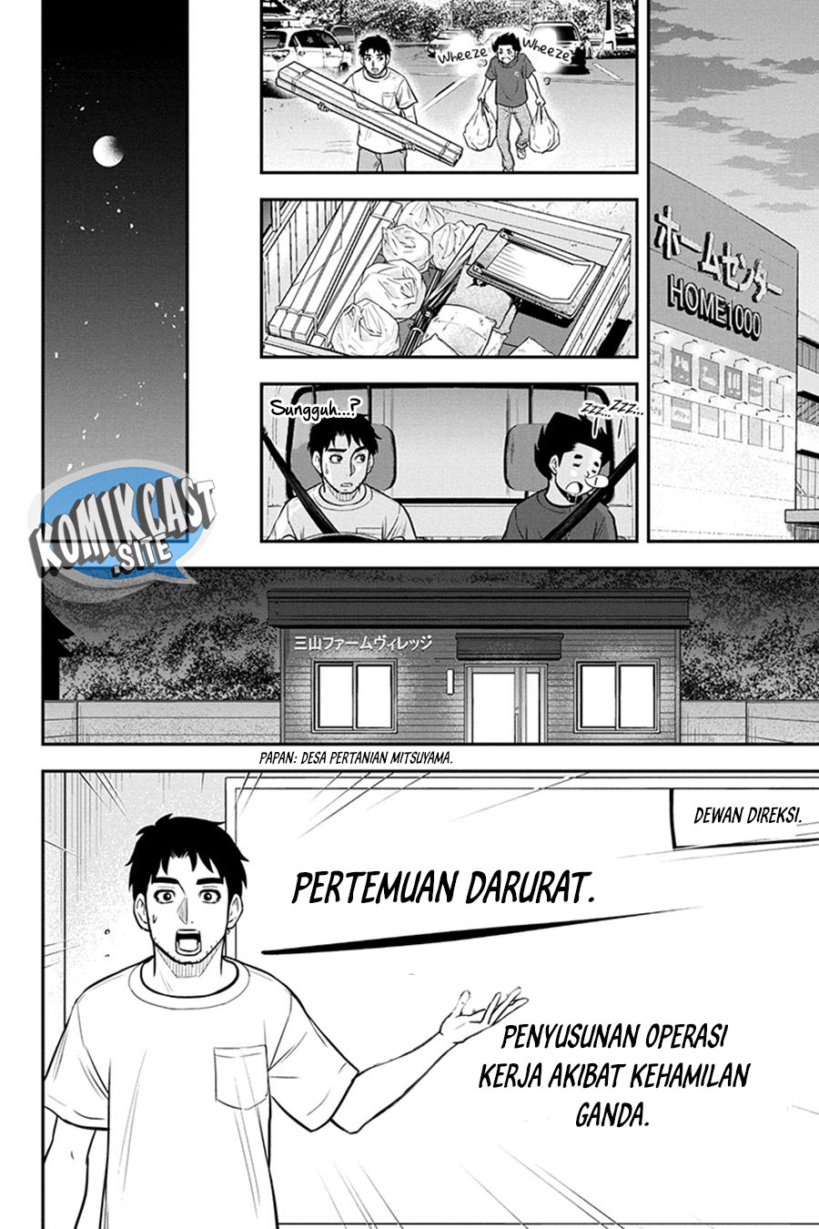 Halaman 17