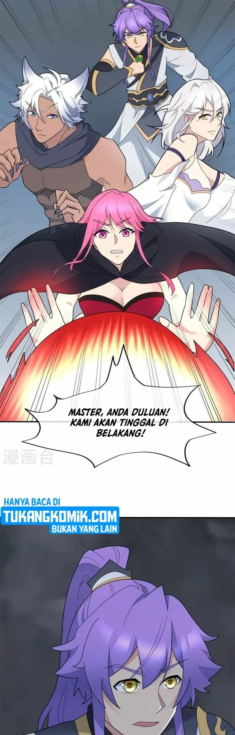 Halaman 17