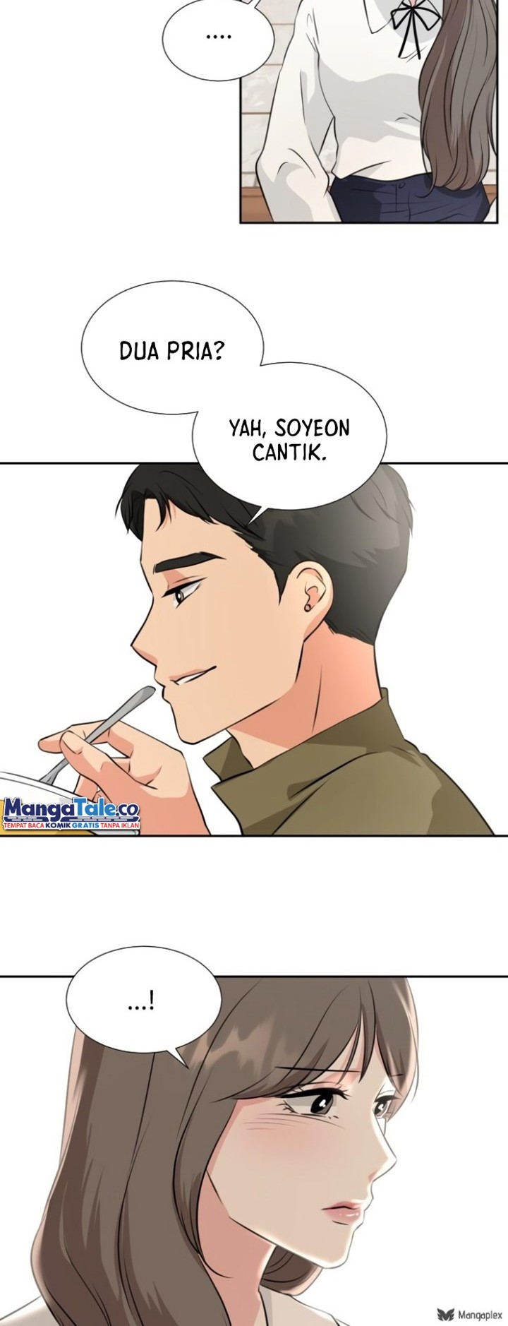 Halaman 17