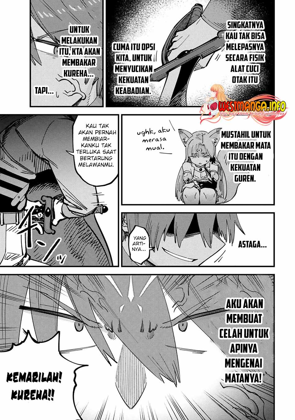 Halaman 43