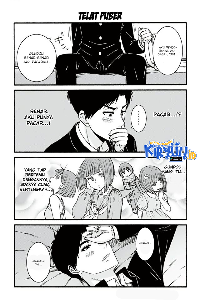 Halaman 17