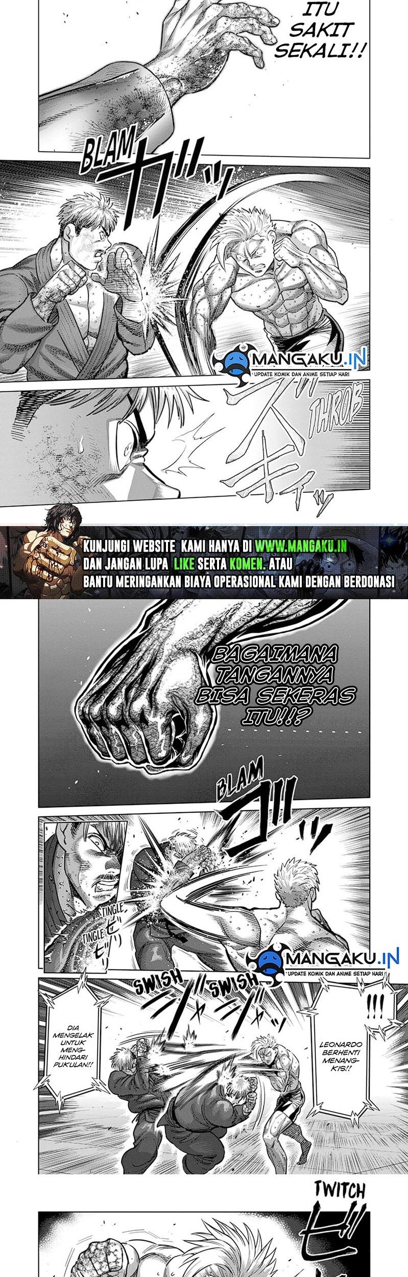 Halaman 17