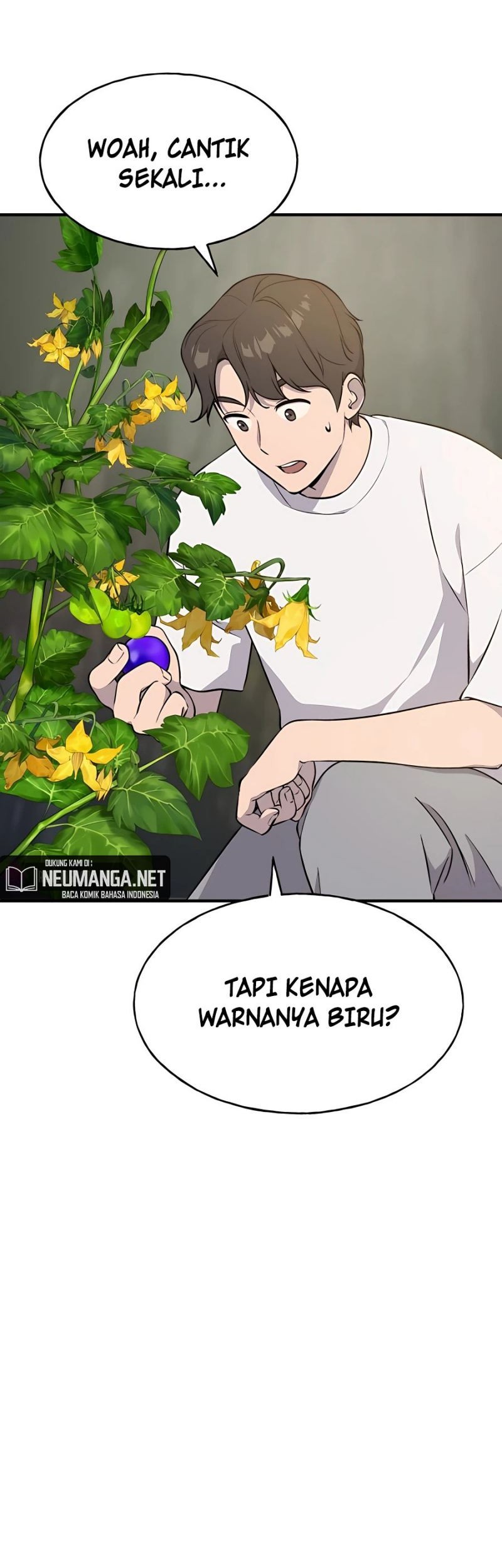 Halaman 30
