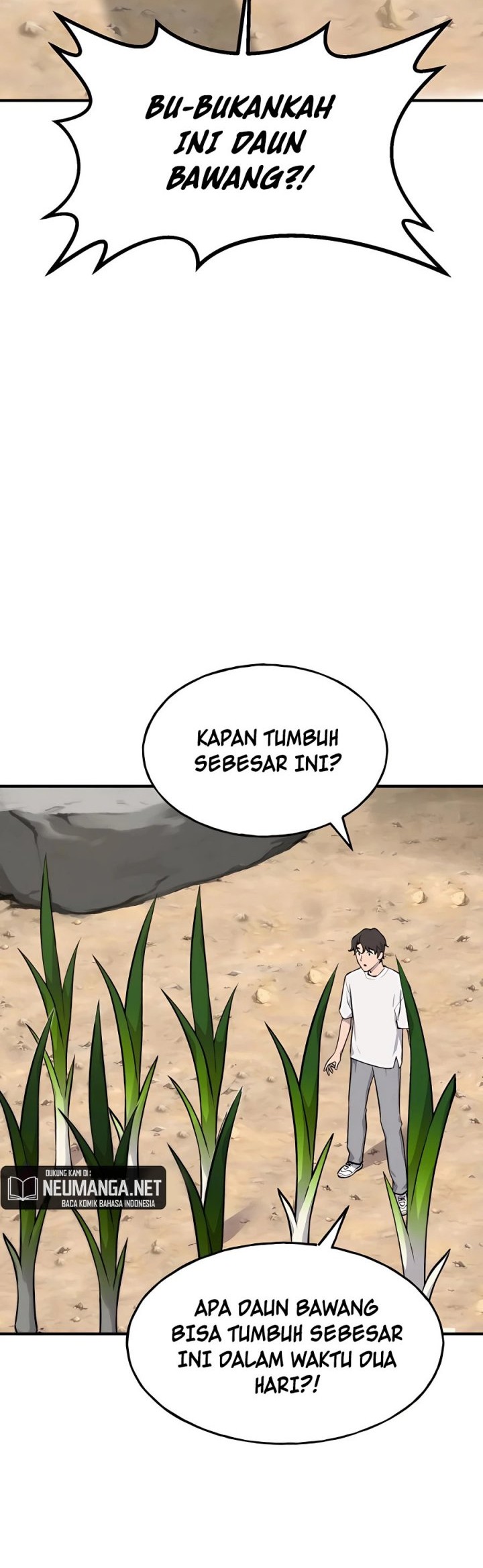 Halaman 163