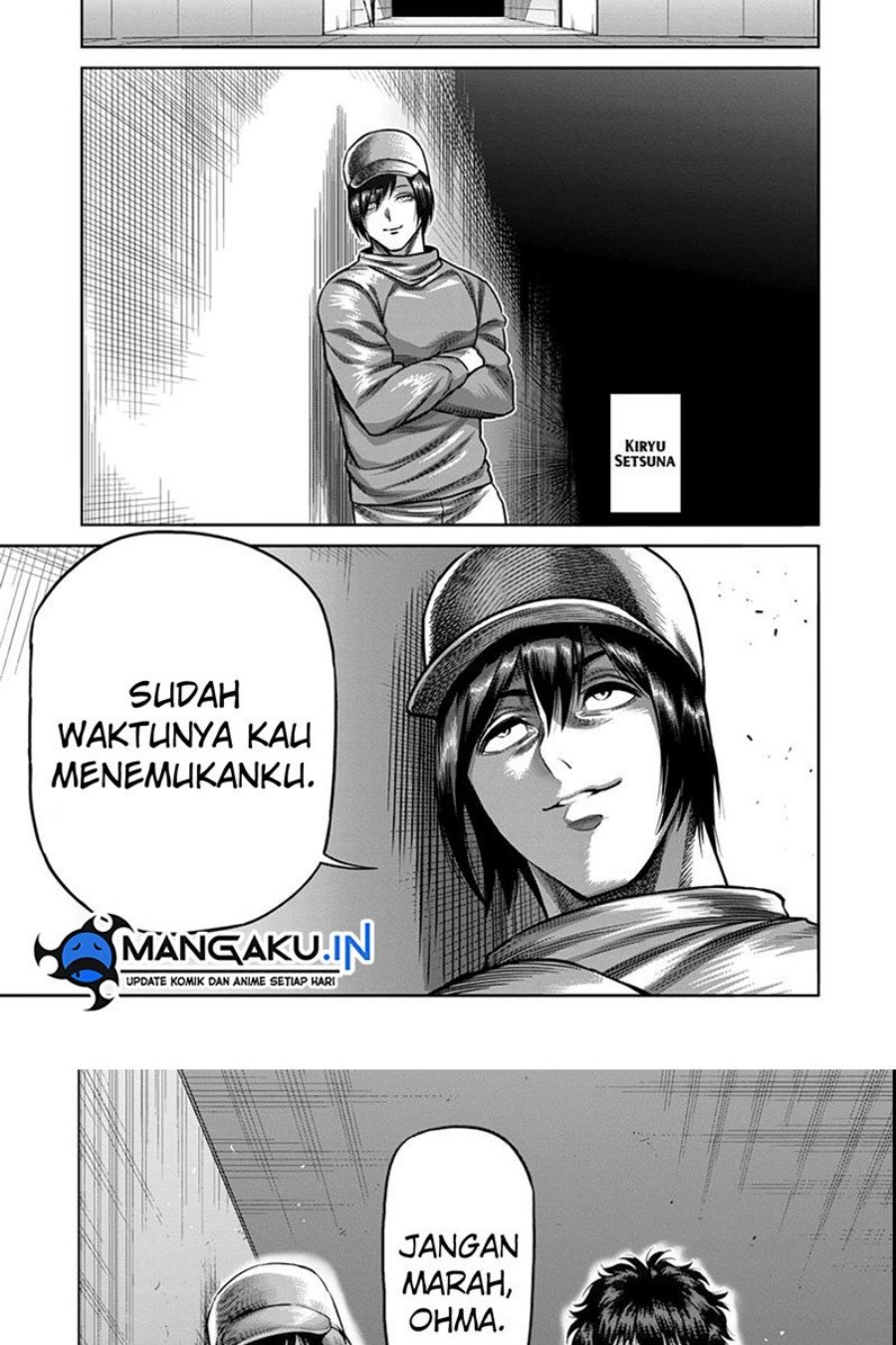 Halaman 17