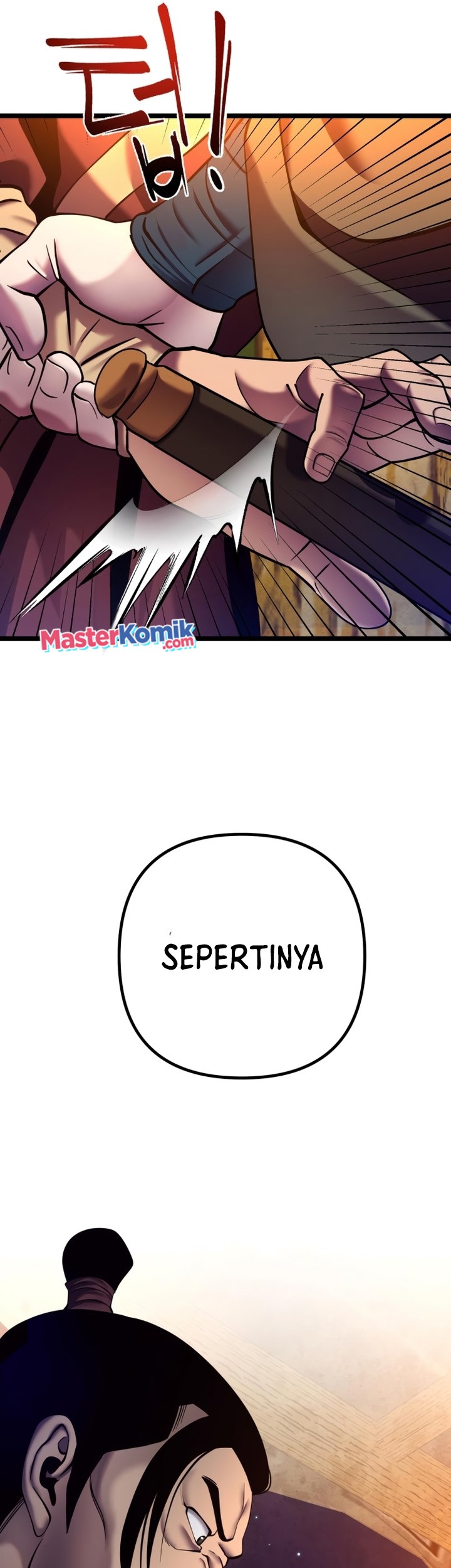 Halaman 300