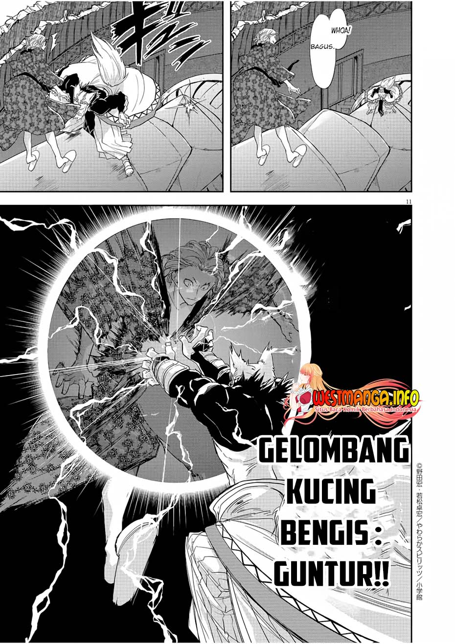 Halaman 43