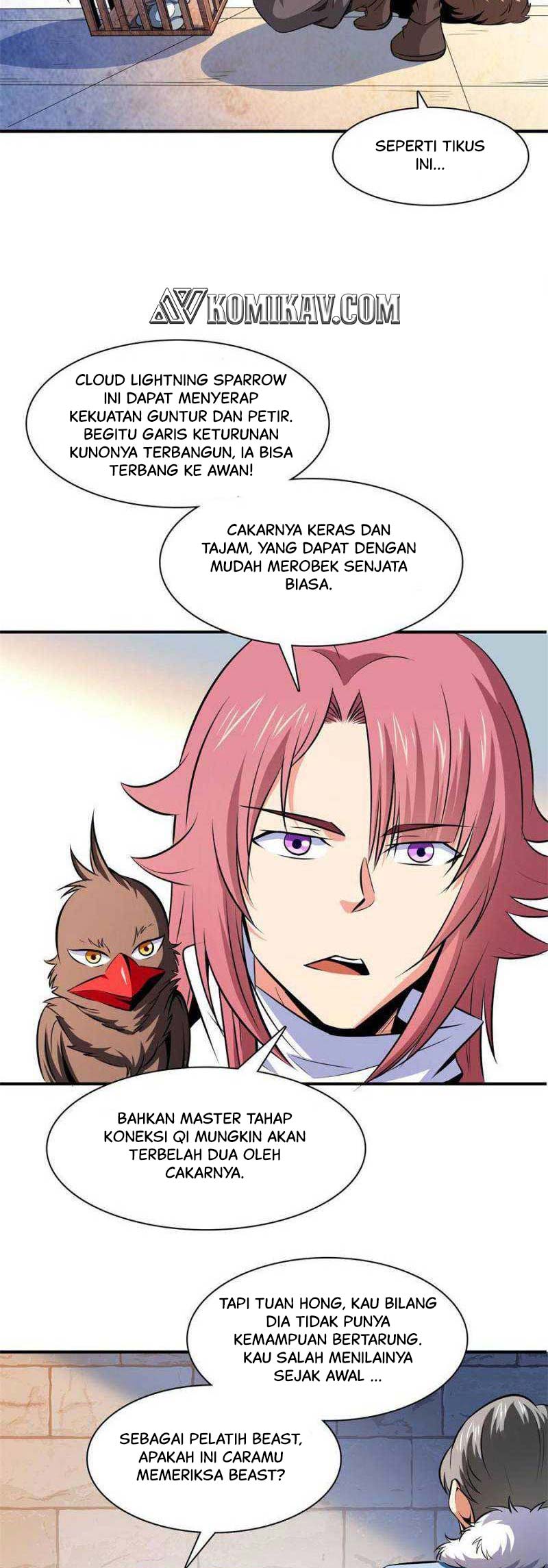 Halaman 17
