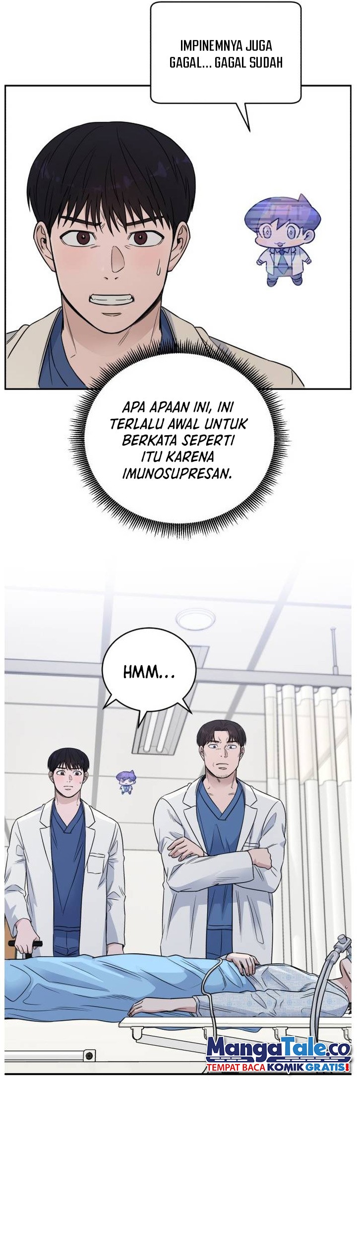 Halaman 24