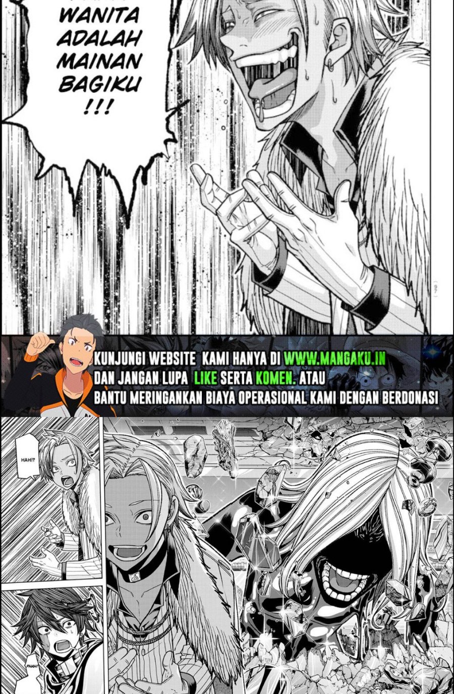 Halaman 17