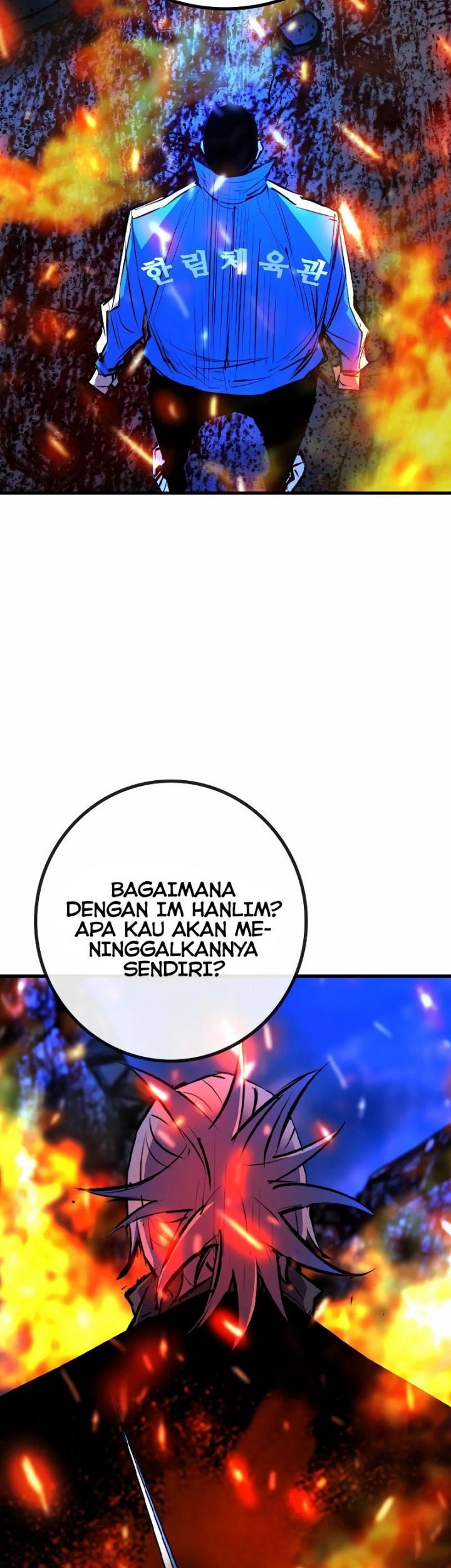 Halaman 43