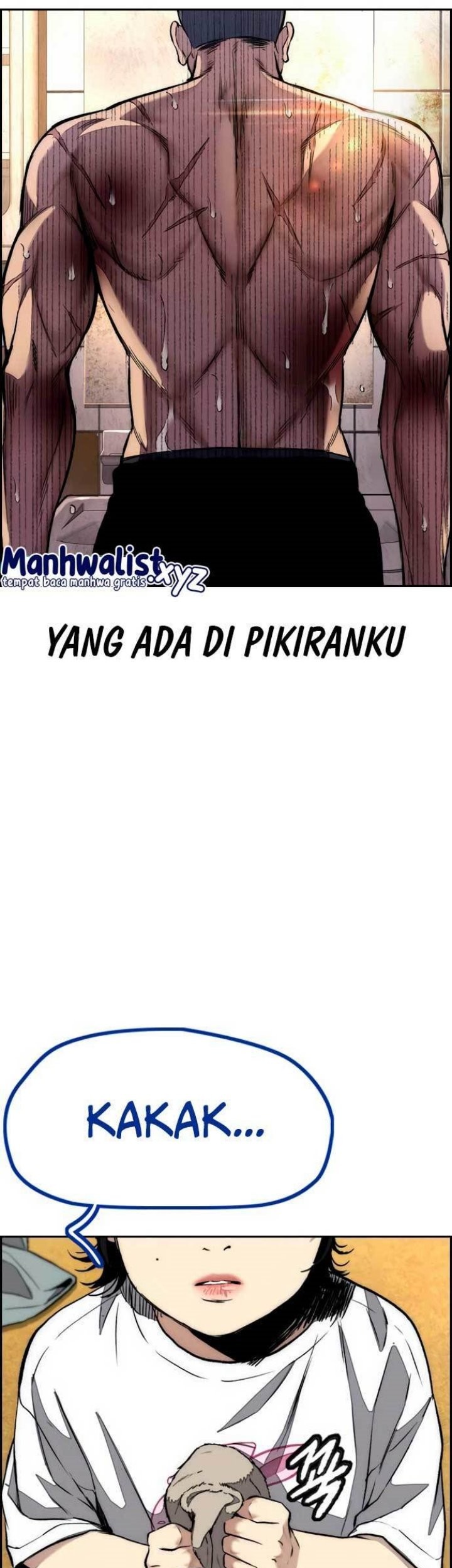 Halaman 43