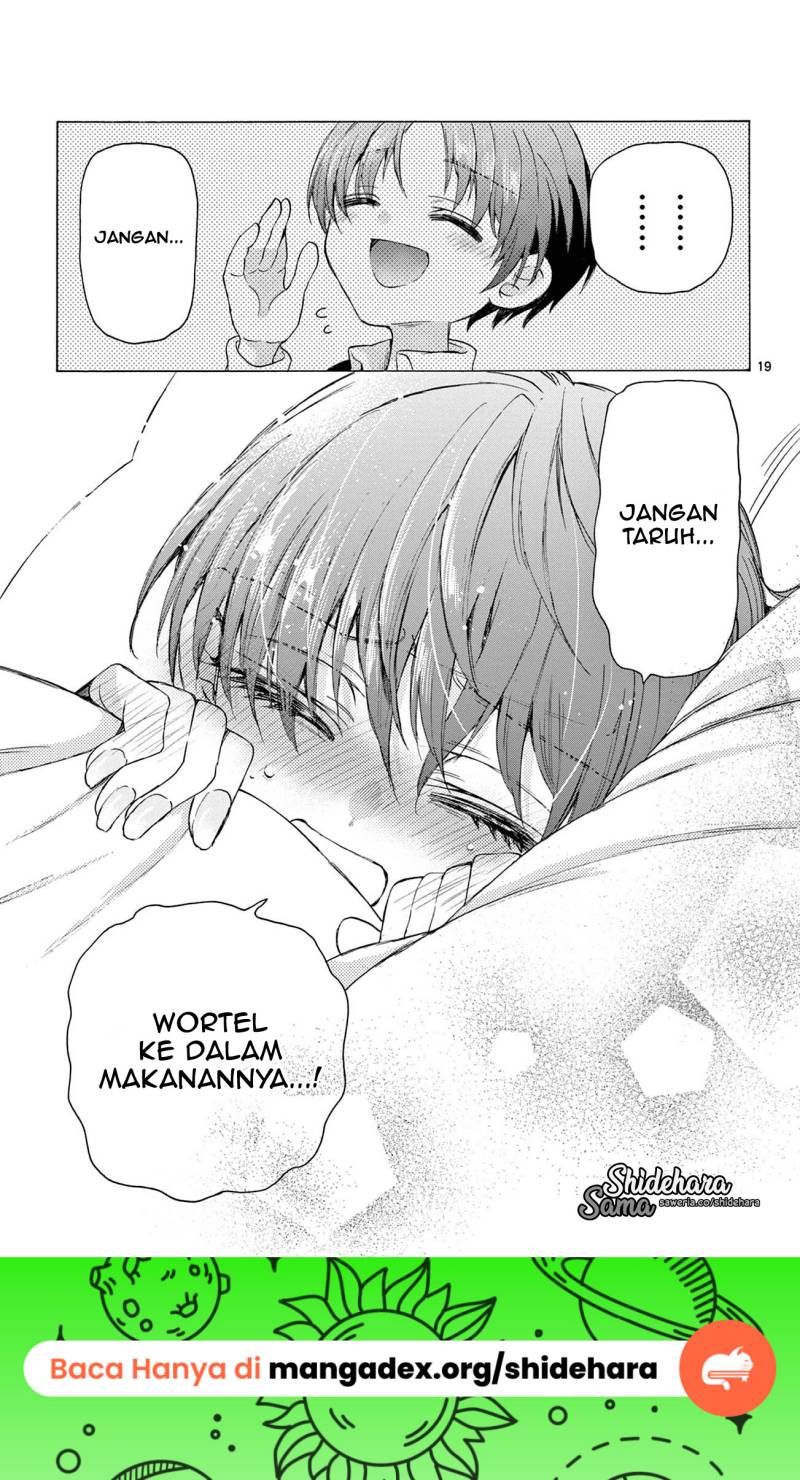 Halaman 20