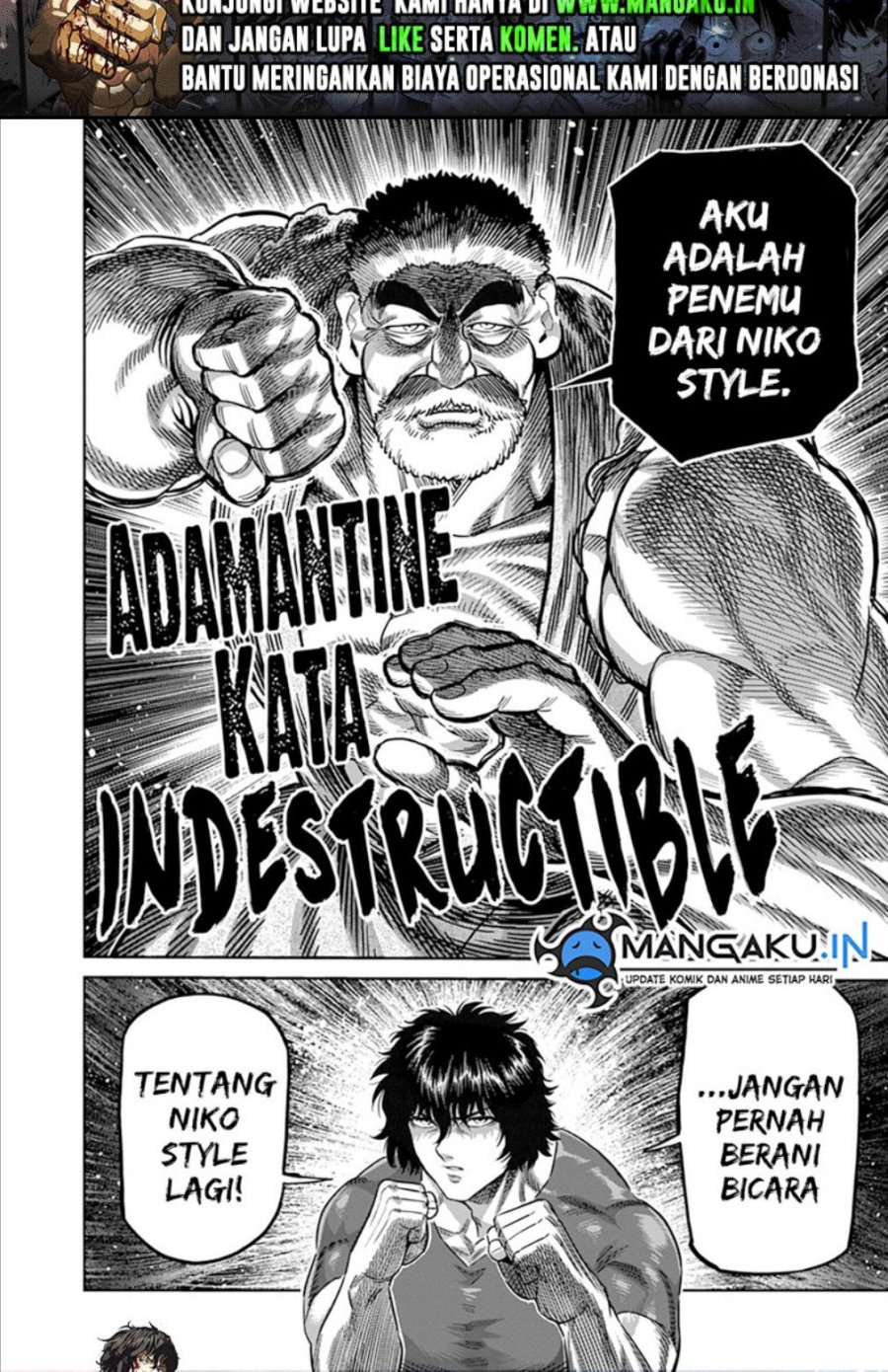 Halaman 17