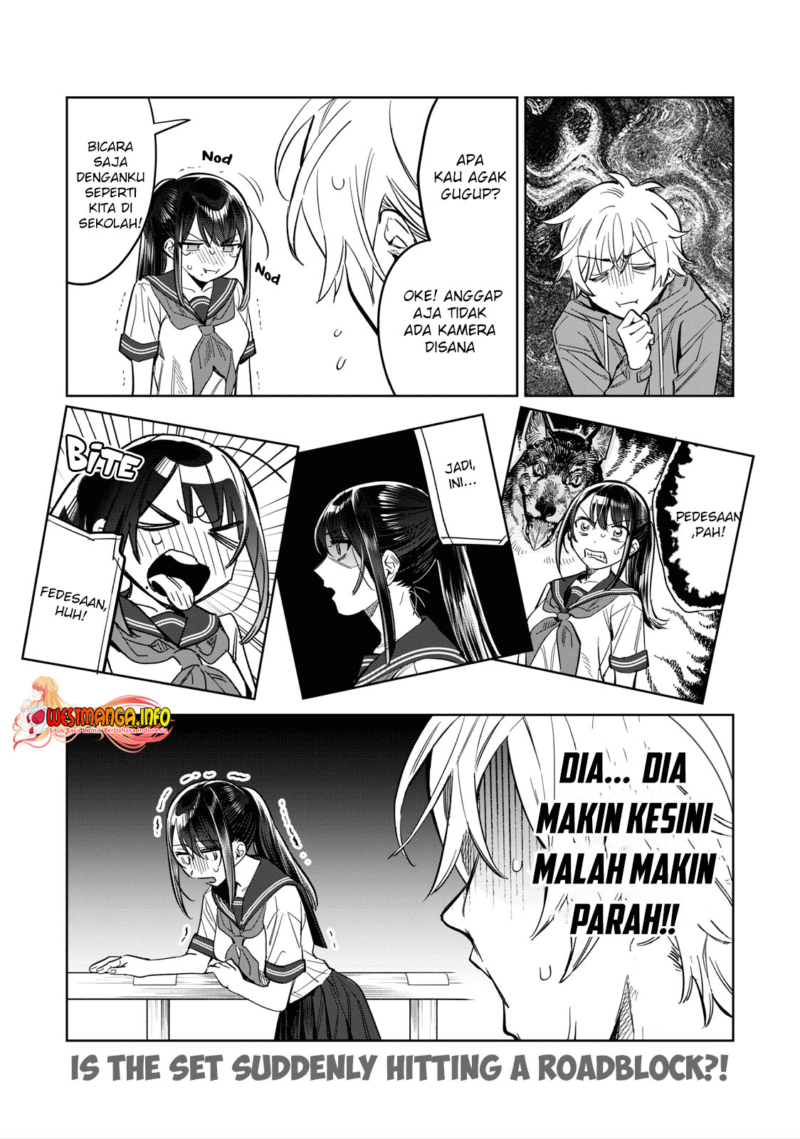 Halaman 17