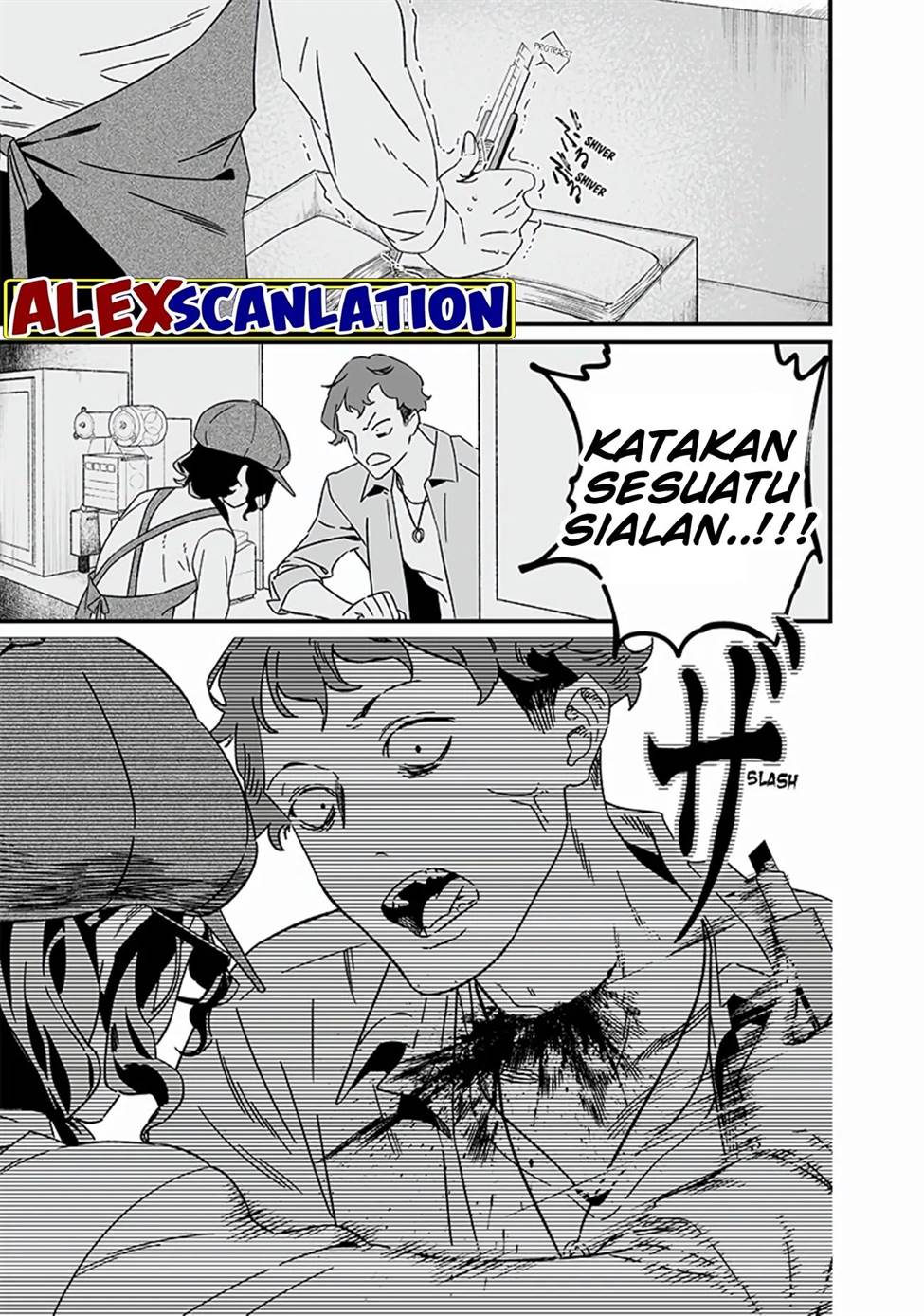 Halaman 17