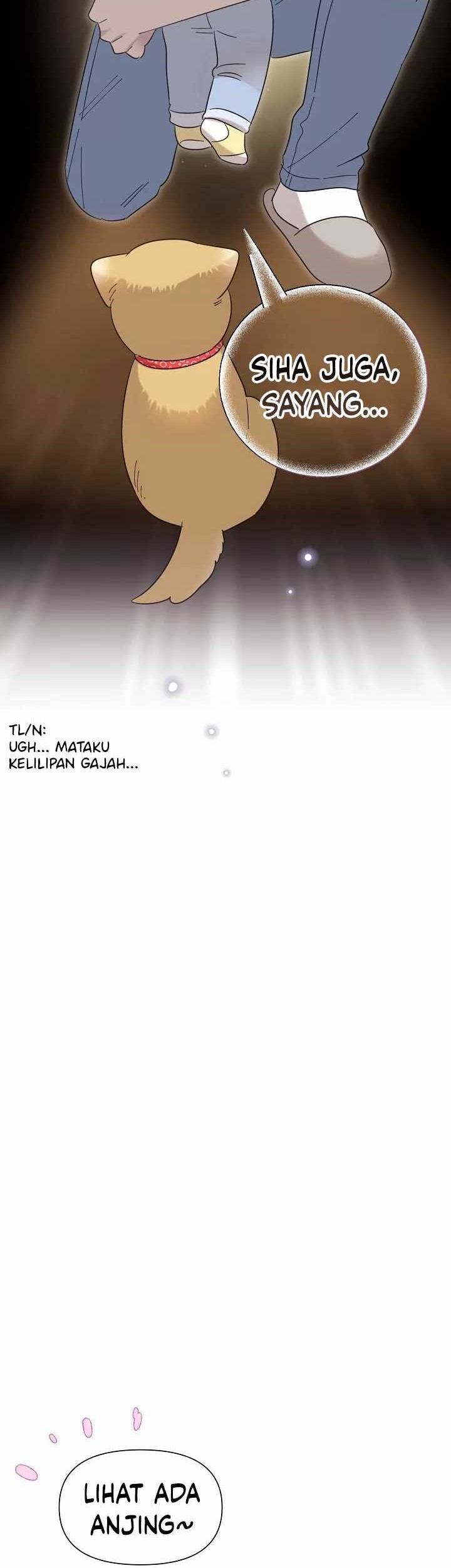 Halaman 41
