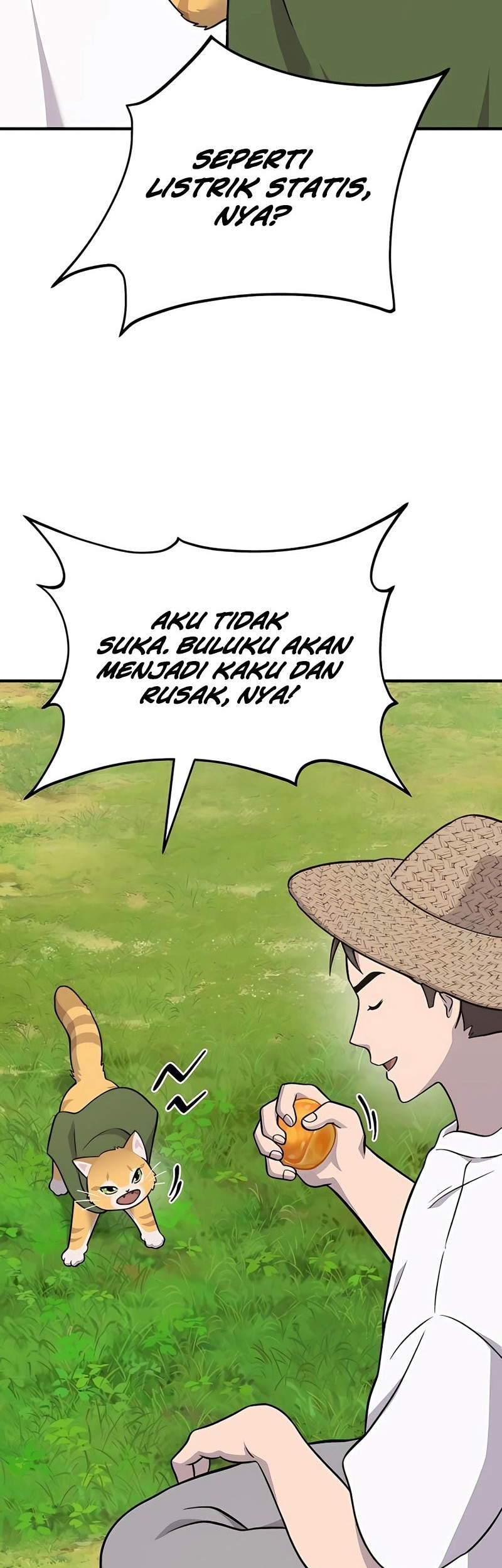 Halaman 43