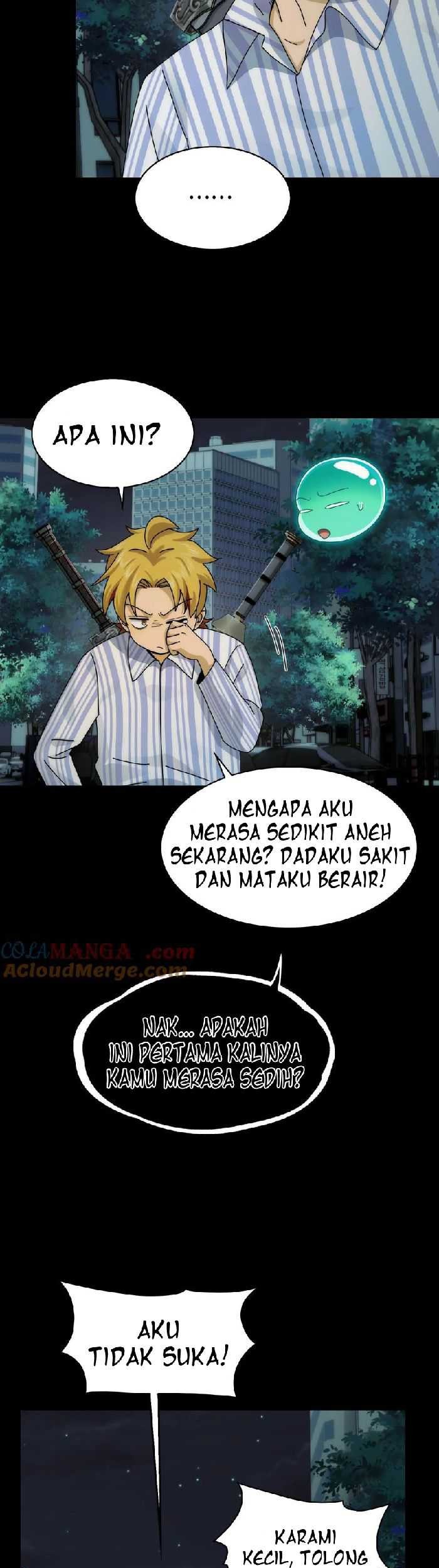 Halaman 17
