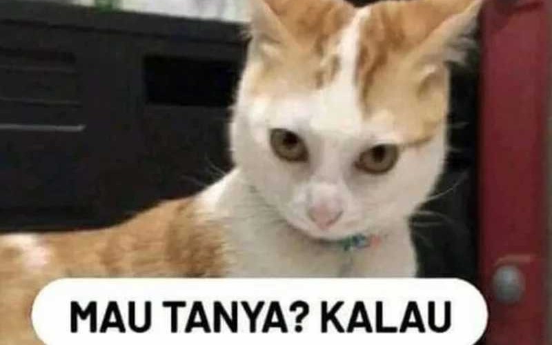 Halaman 124