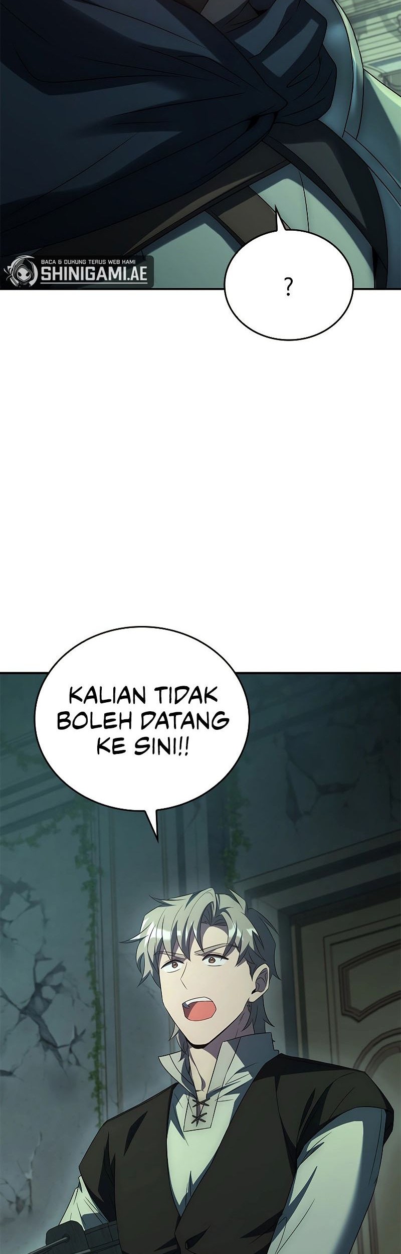 Halaman 223