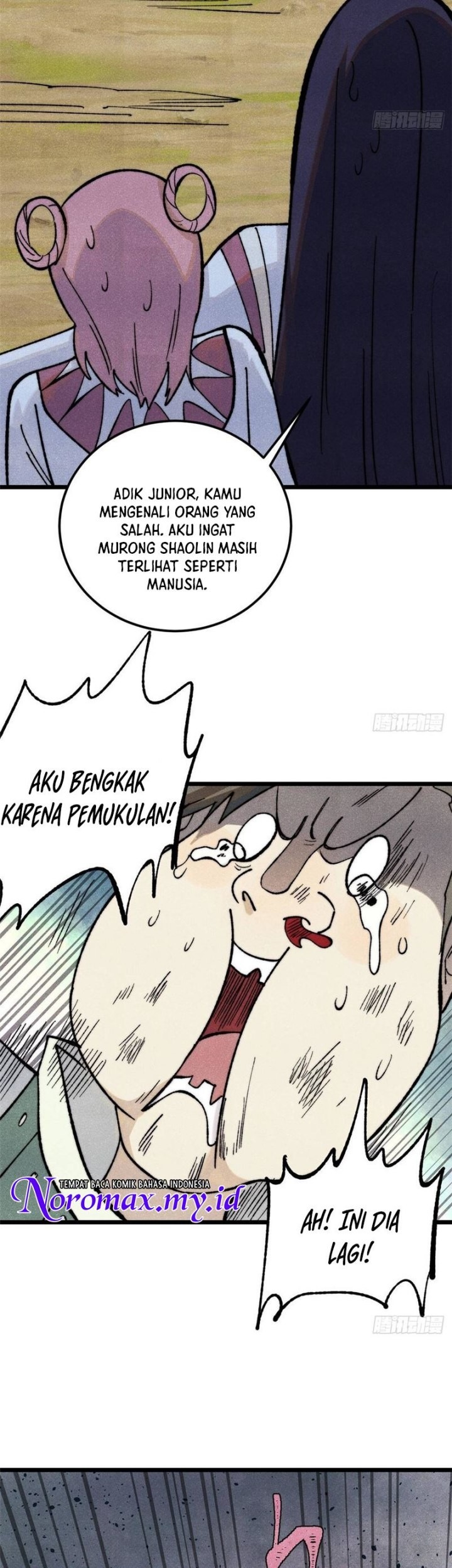 Halaman 17