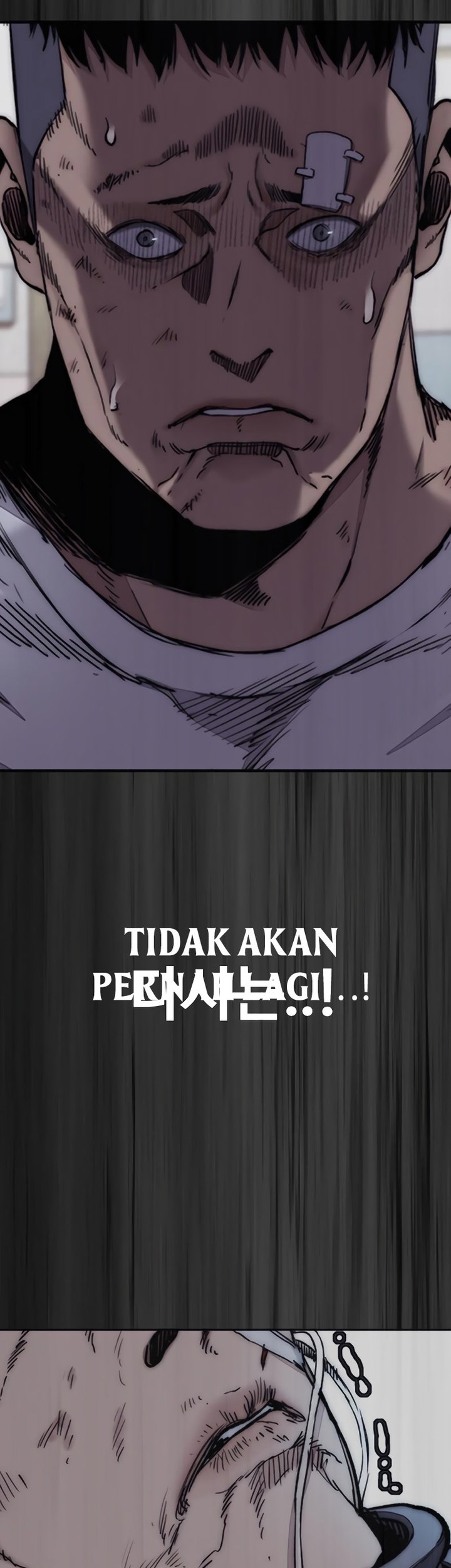 Halaman 187