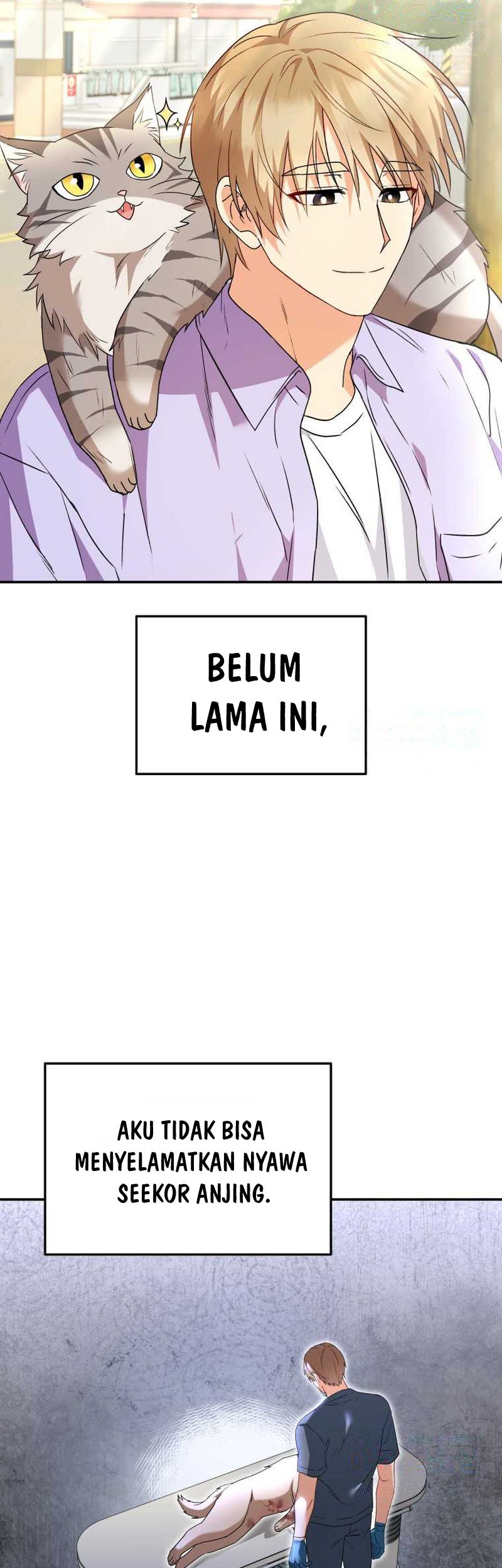 Halaman 225
