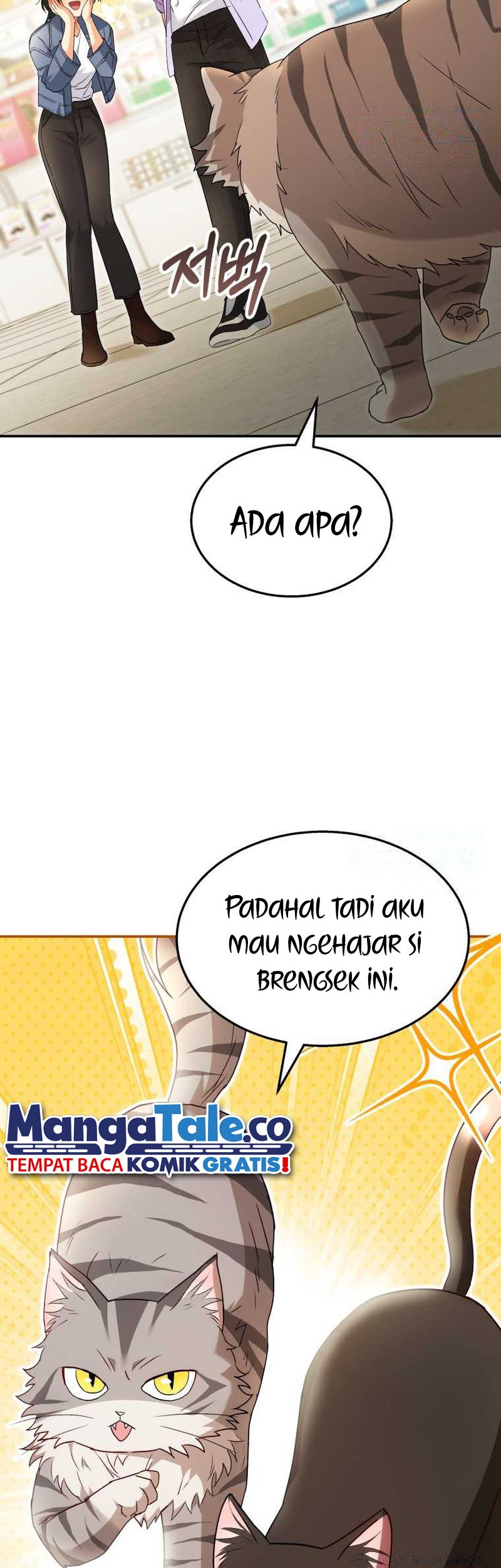 Halaman 242