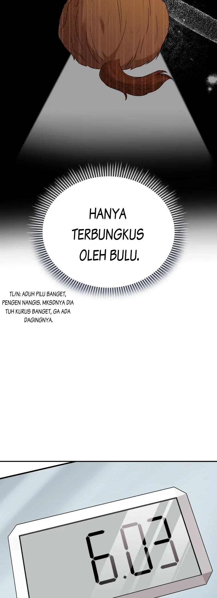 Halaman 43