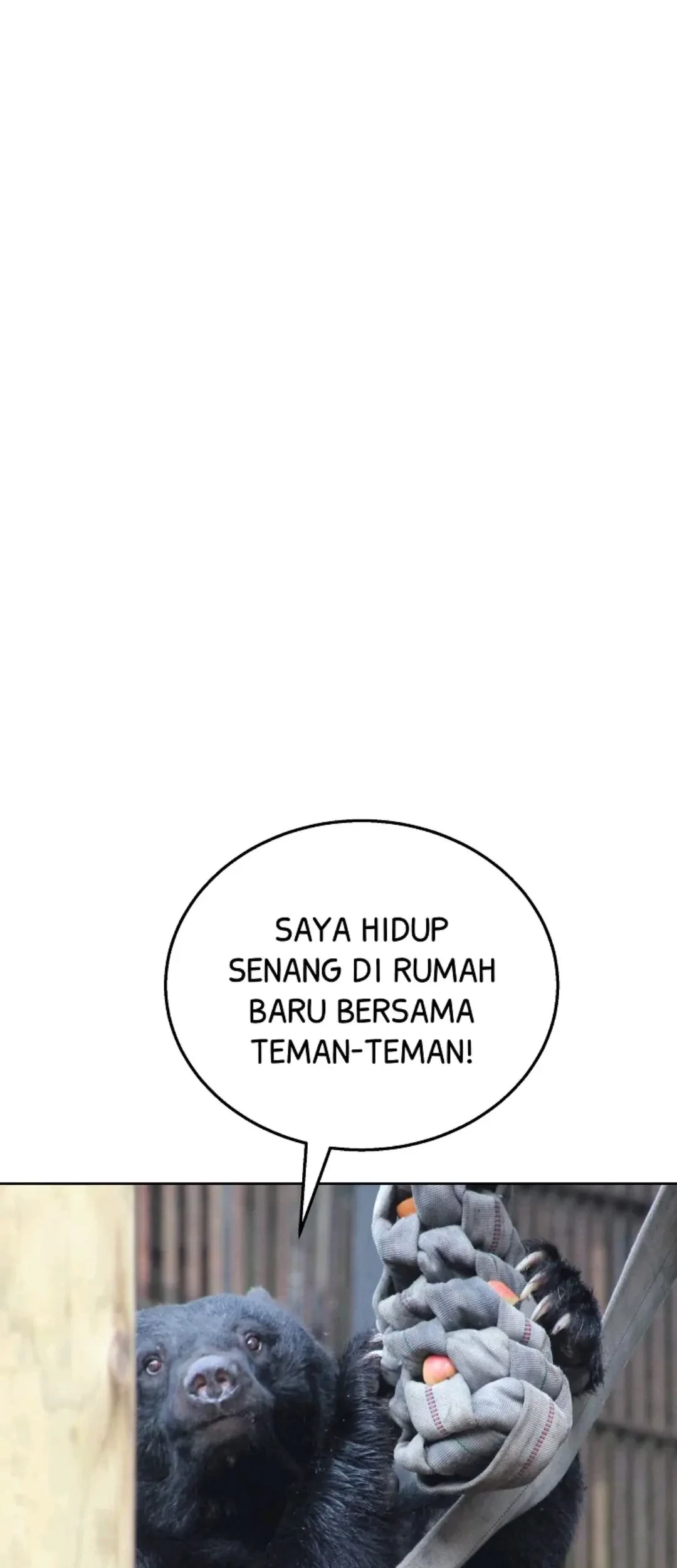Halaman 144