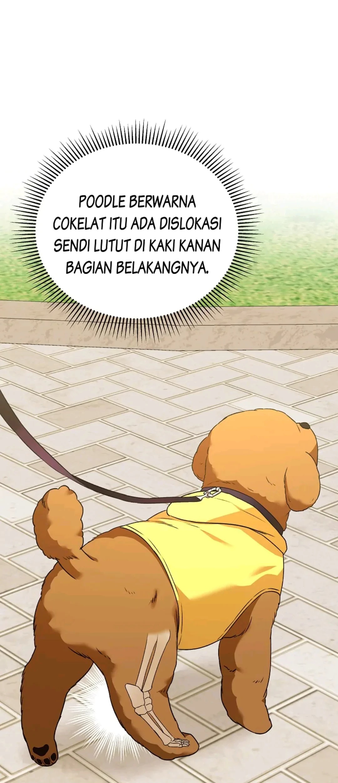 Halaman 25