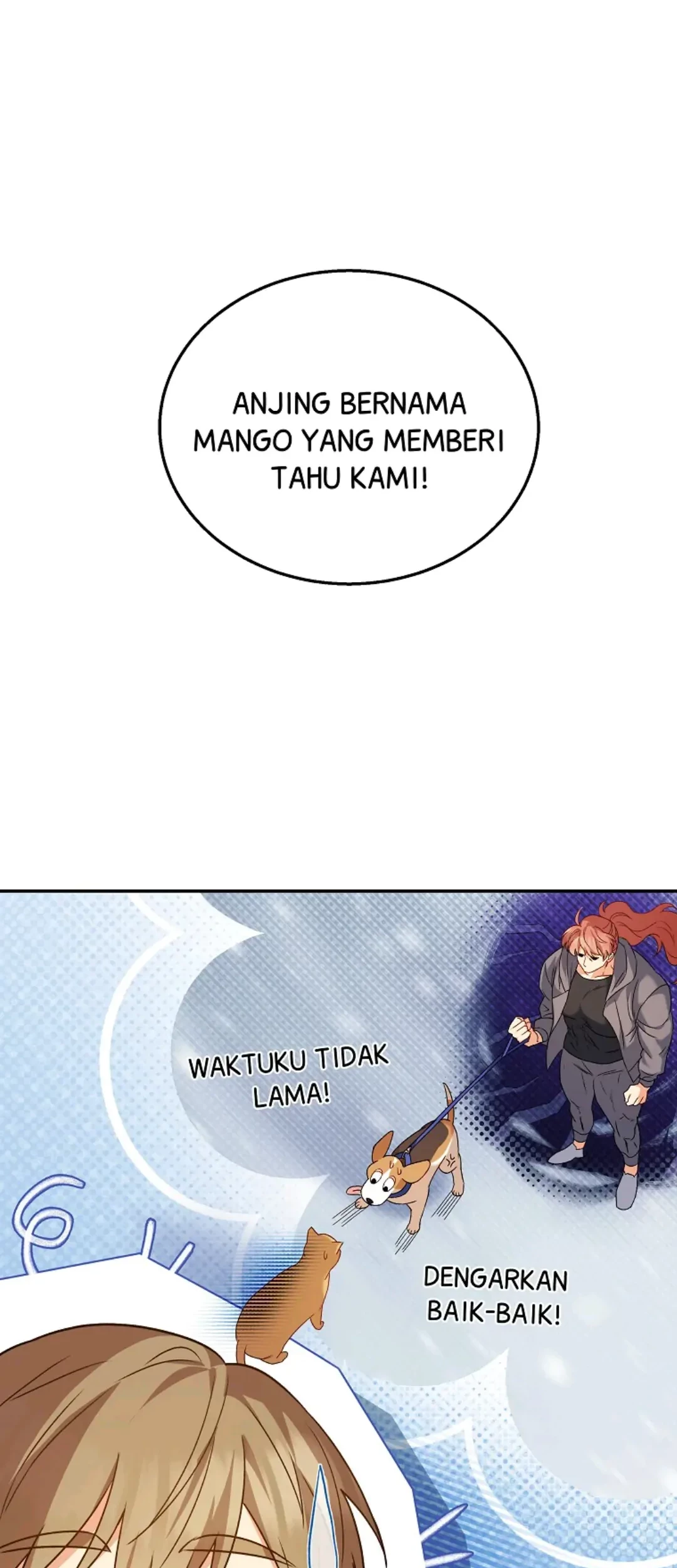 Halaman 211