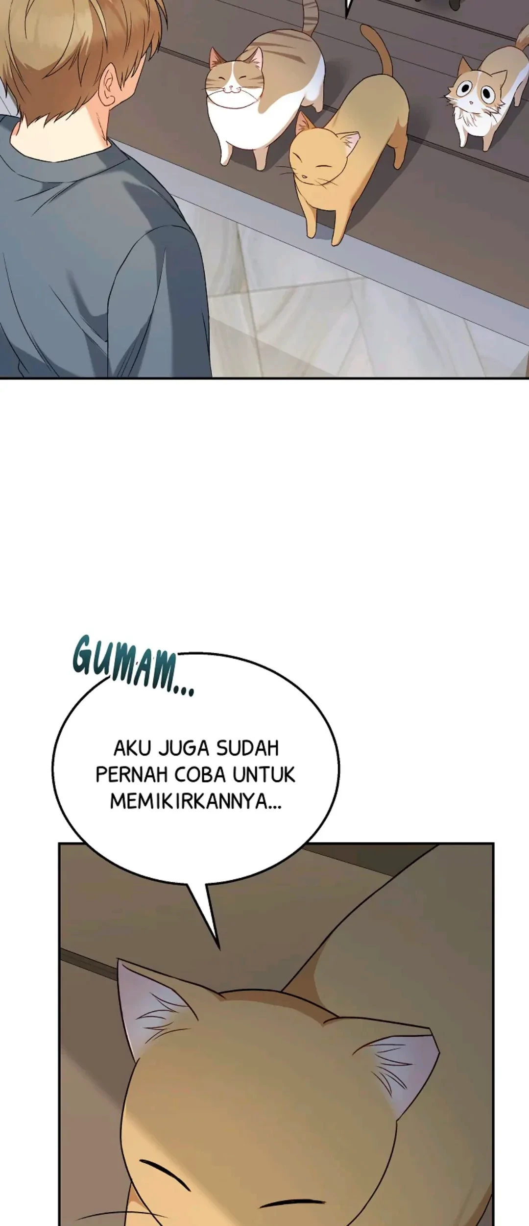 Halaman 219