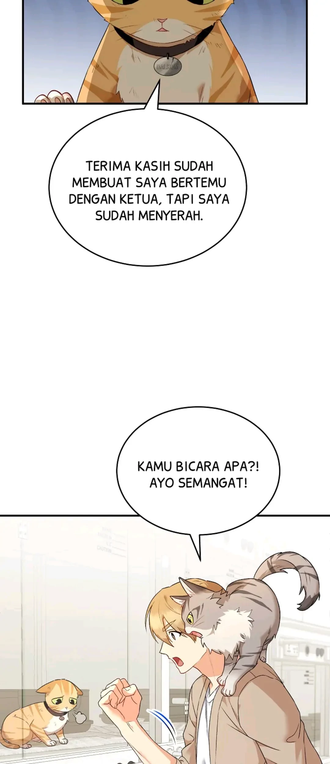 Halaman 331
