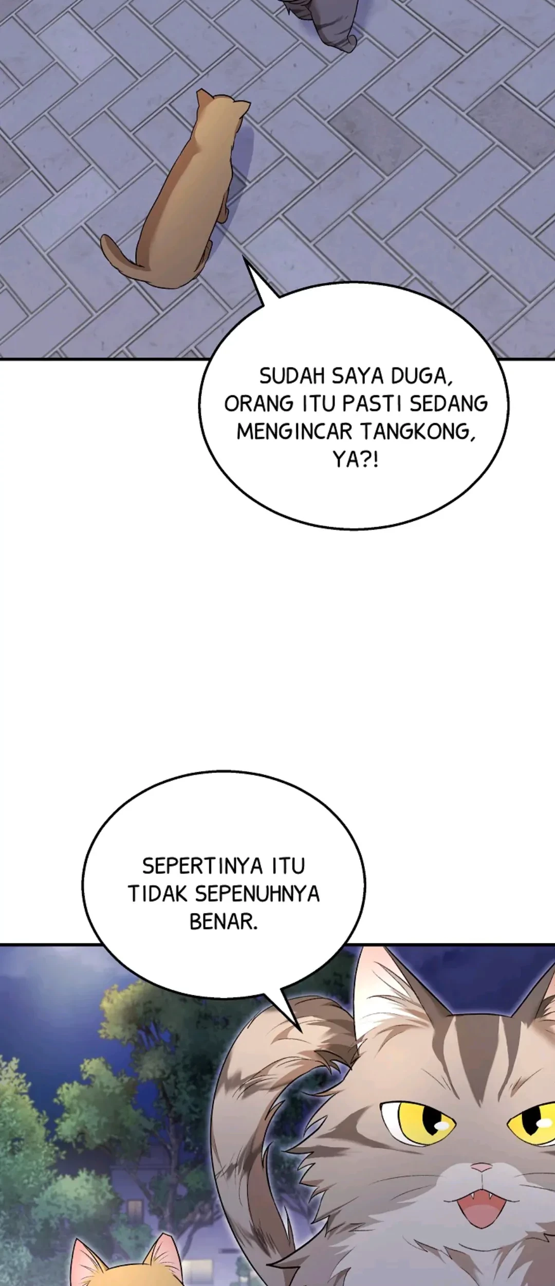 Halaman 242