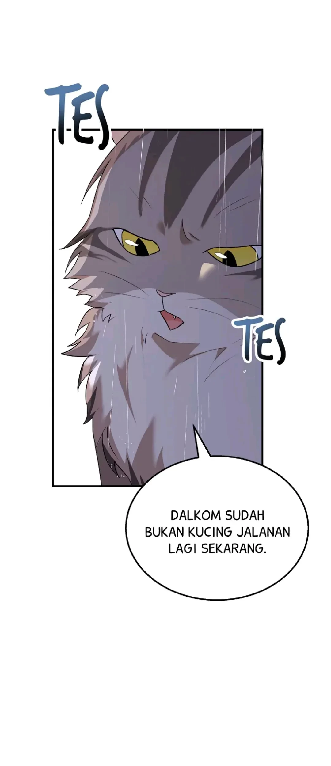 Halaman 251