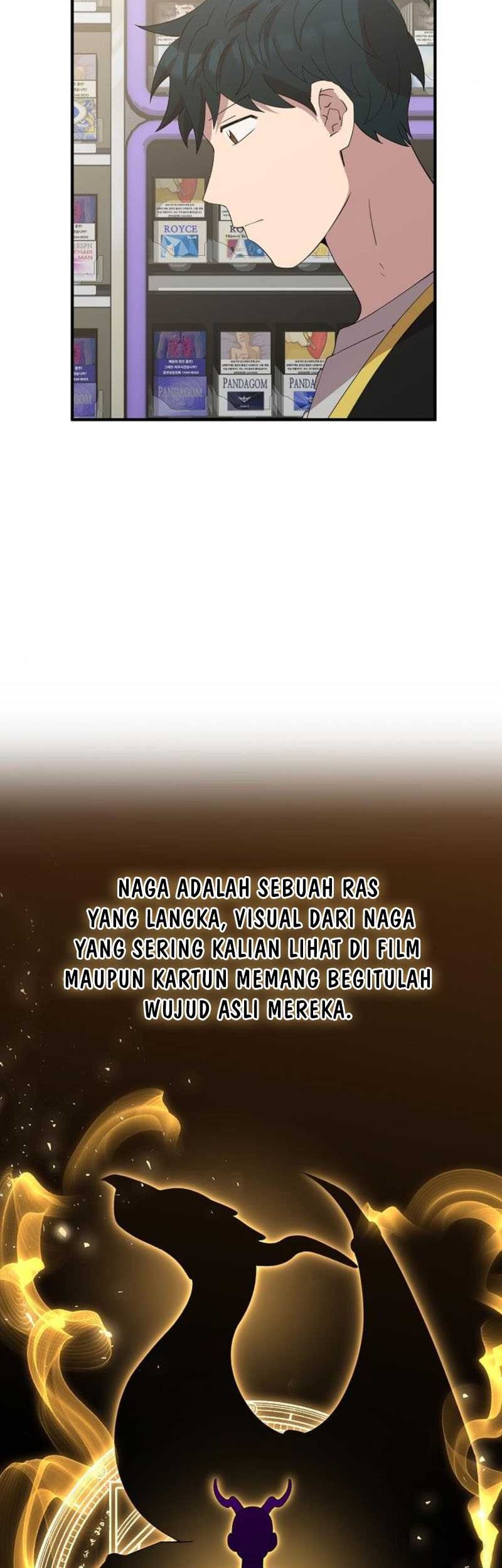 Halaman 43