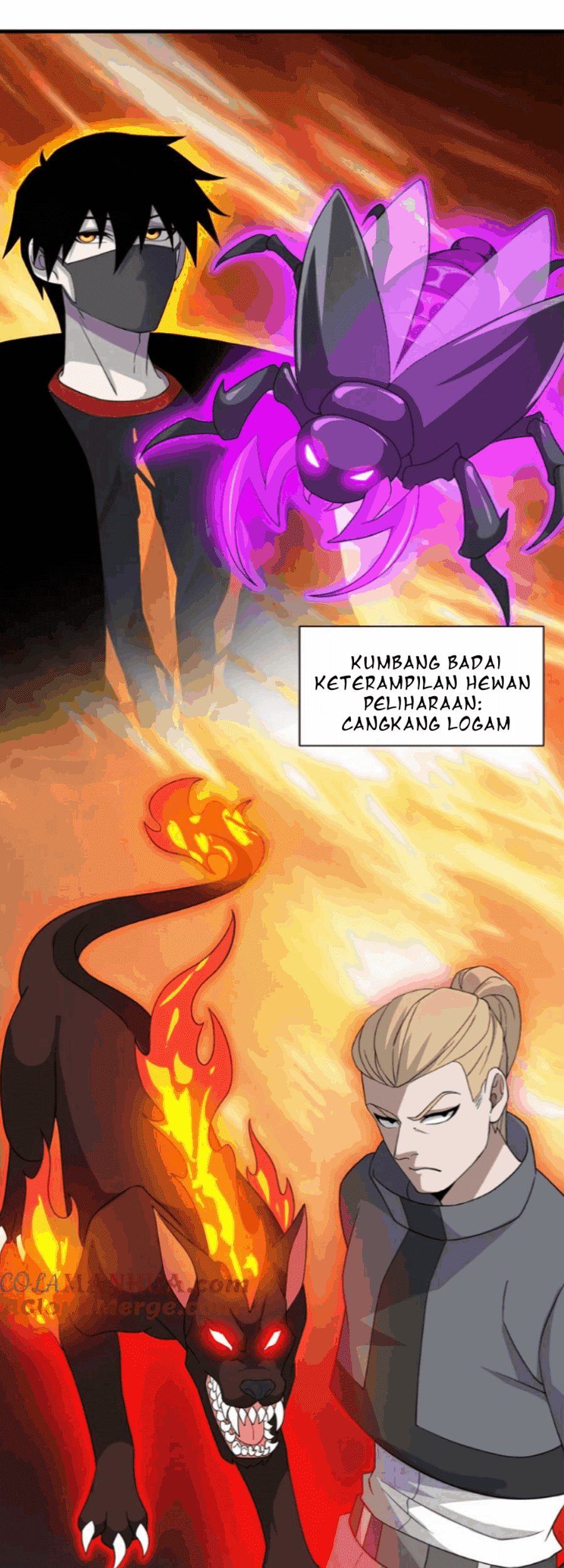 Halaman 14