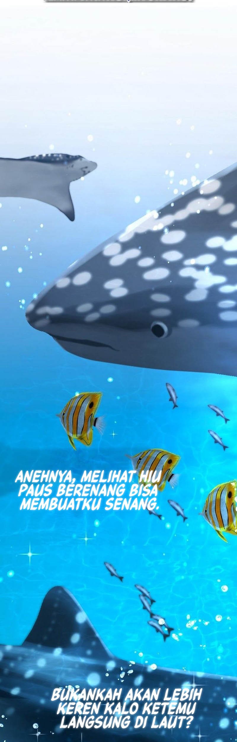 Halaman 141