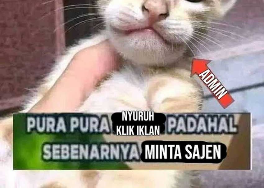 Halaman 183