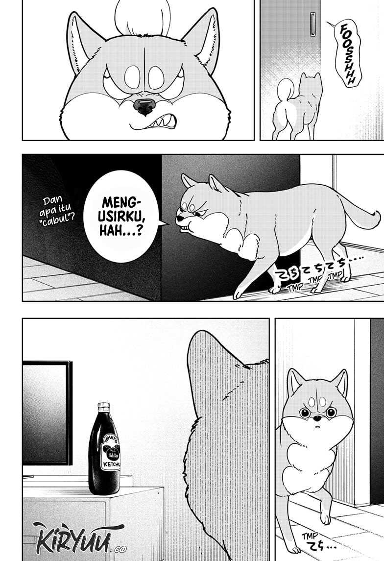 Halaman 19