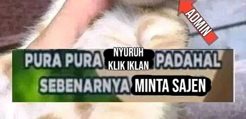 Halaman 52