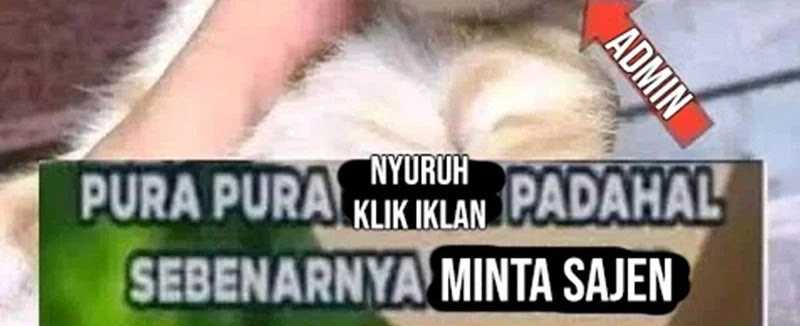 Halaman 256