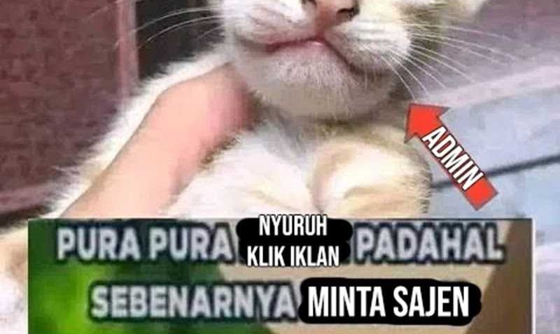 Halaman 288