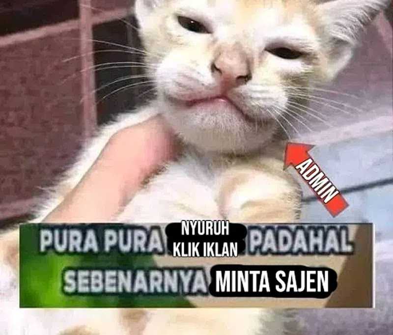 Halaman 118