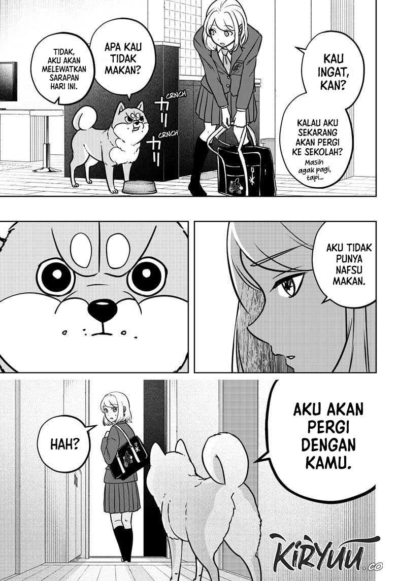 Halaman 17