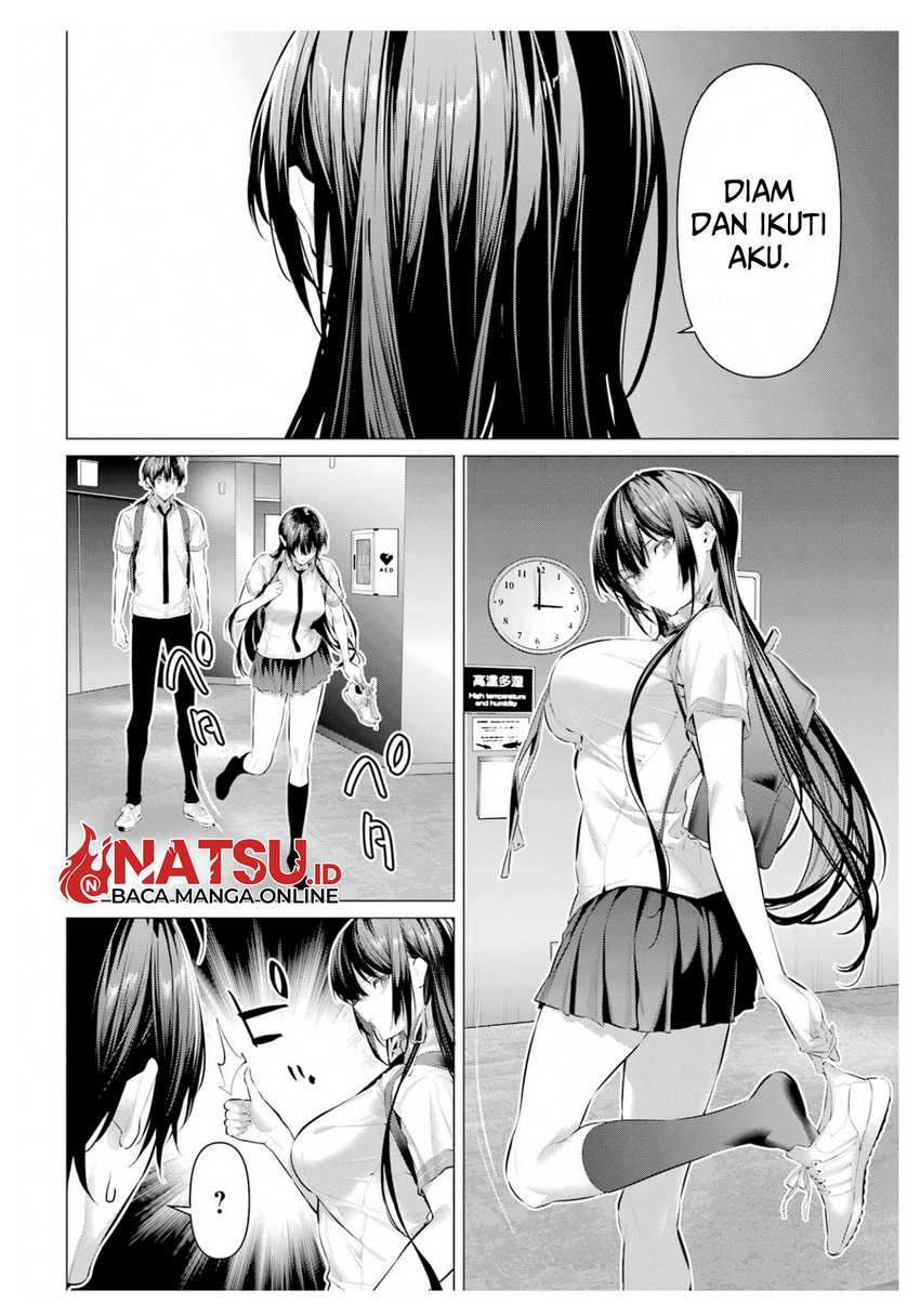Halaman 17