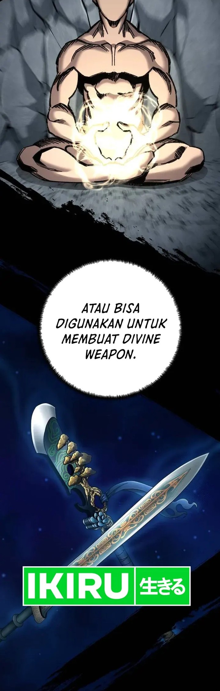 Halaman 243