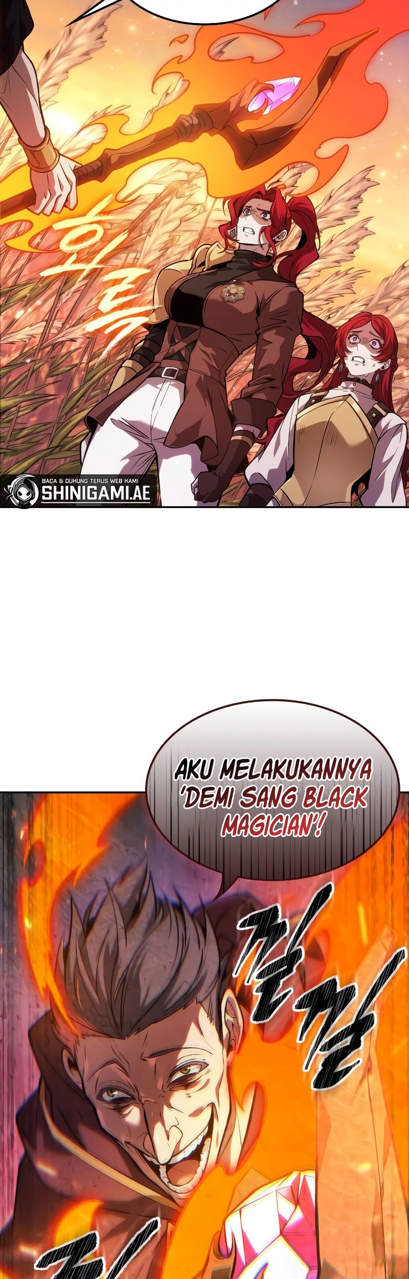 Halaman 213